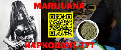 спиды Кингисепп
