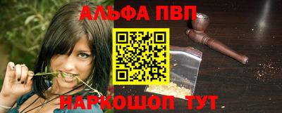 спиды Кингисепп
