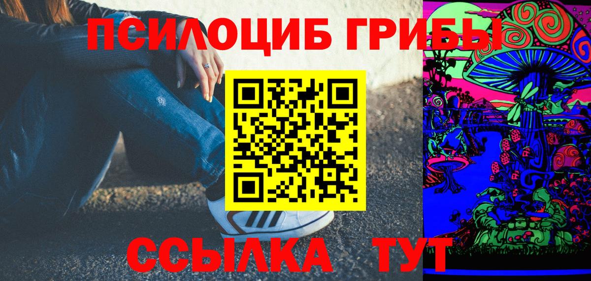 Псилоцибиновые грибы GOLDEN TEACHER Избербаш