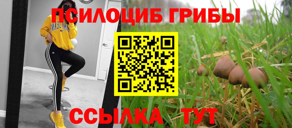 Избербаш  Галлюциногенные грибы мухоморы  магазин    Псилоцибиновые грибы GOLDEN TEACHER  Вход с VPN 